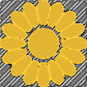 Meet your Posher, Sandyyy